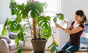 woman watering a plant